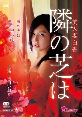 探花视频现实题材电影玻璃工厂封面